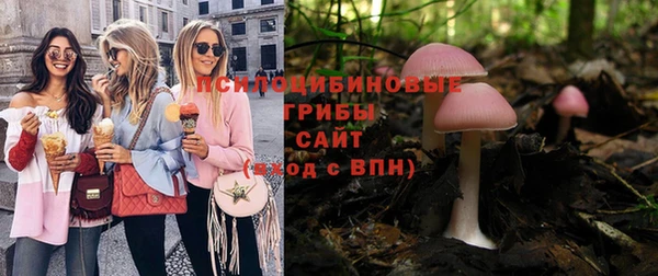 spice Алексин