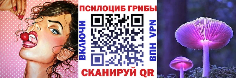 darknet телеграм  Выкса  Галлюциногенные грибы MAGIC MUSHROOMS  как найти закладки 